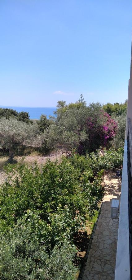 Geranium Villa By The Sea คิเนตา ภายนอก รูปภาพ